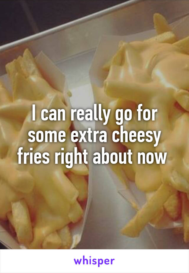 I can really go for some extra cheesy fries right about now 