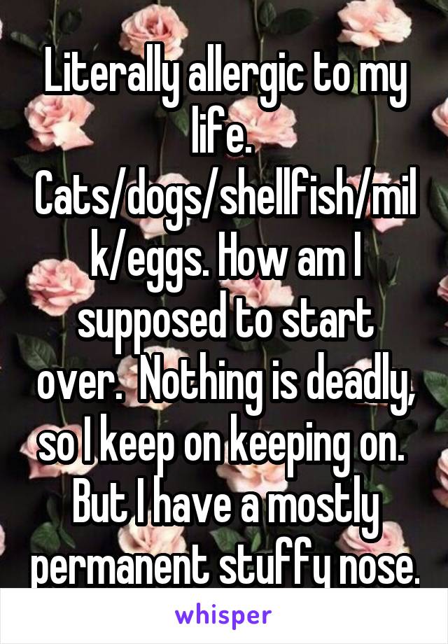 Literally allergic to my life.  Cats/dogs/shellfish/milk/eggs. How am I supposed to start over.  Nothing is deadly, so I keep on keeping on.  But I have a mostly permanent stuffy nose.