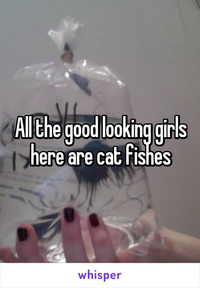 All the good looking girls here are cat fishes