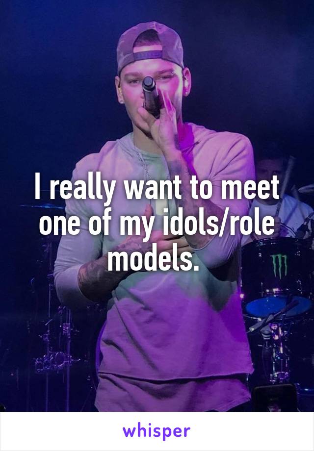 I really want to meet one of my idols/role models. 