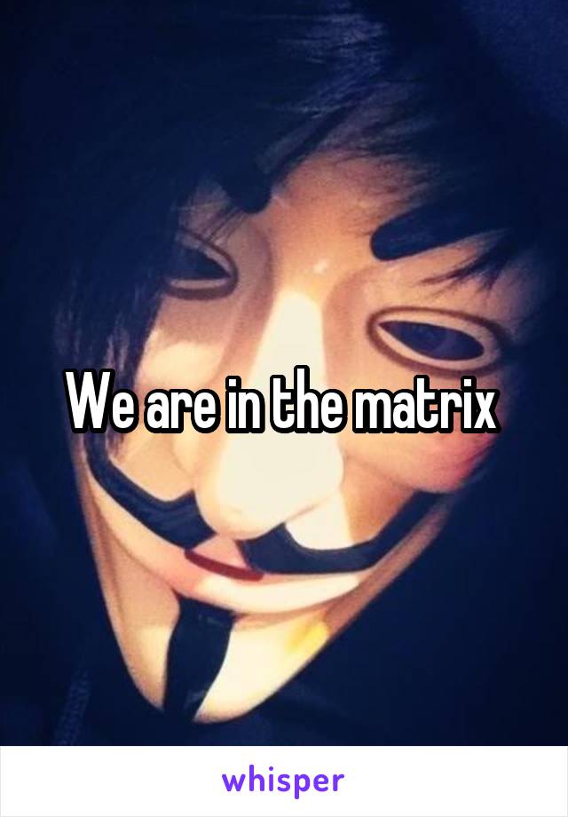 We are in the matrix 