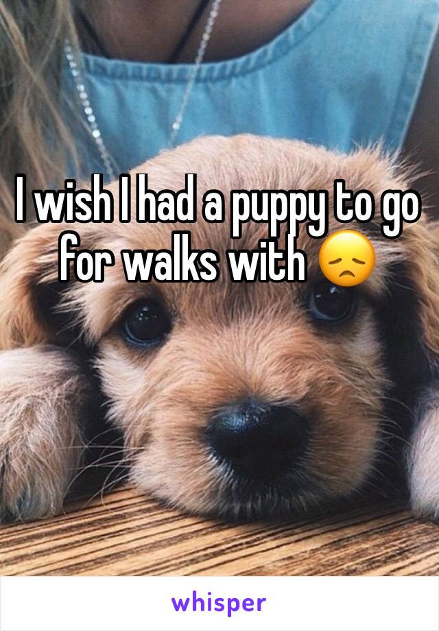 I wish I had a puppy to go for walks with 😞