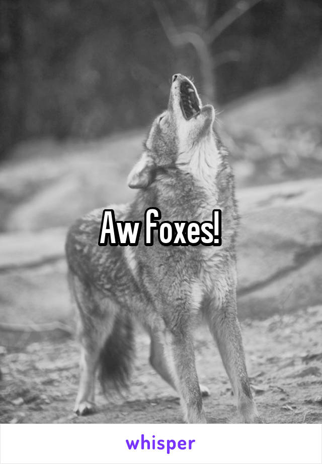 Aw foxes! 