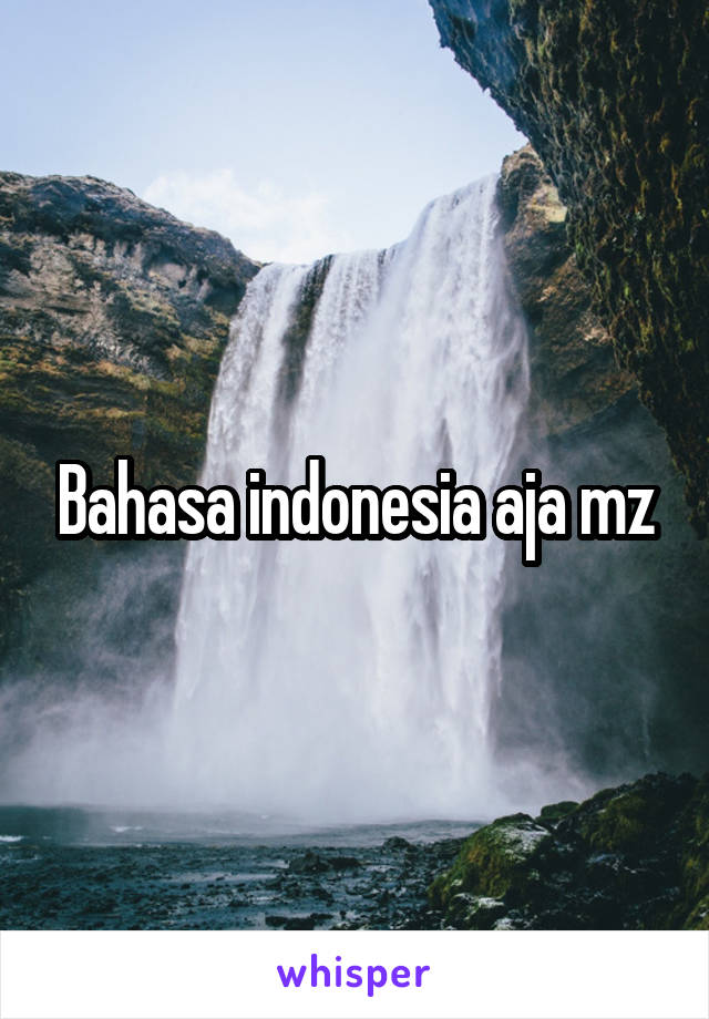 Bahasa indonesia aja mz