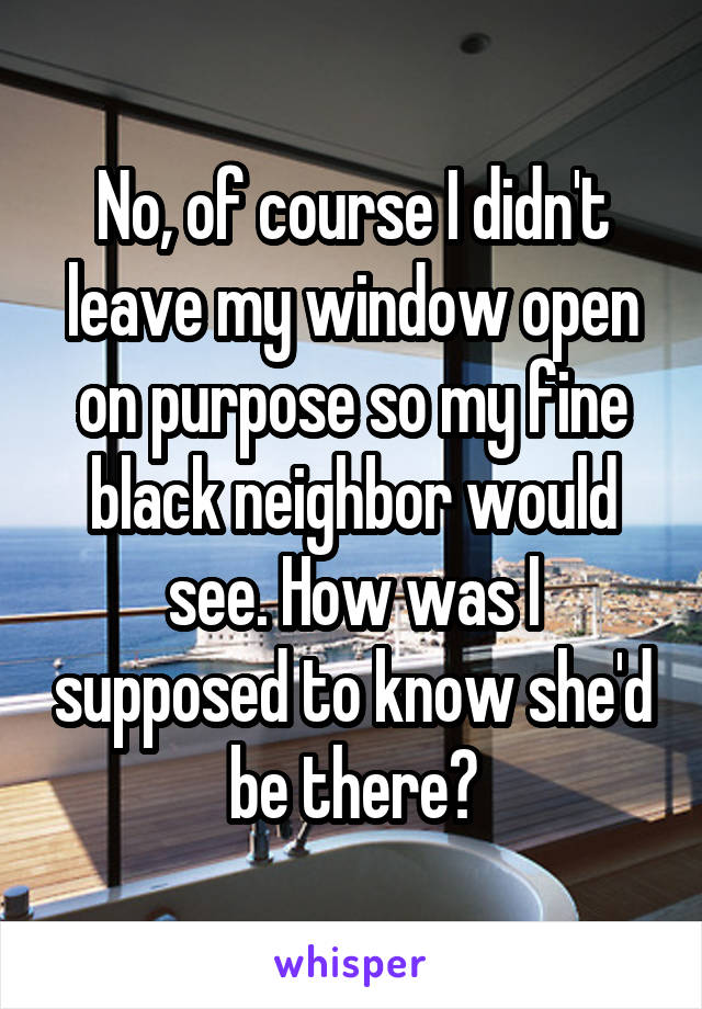 No, of course I didn't leave my window open on purpose so my fine black neighbor would see. How was I supposed to know she'd be there?