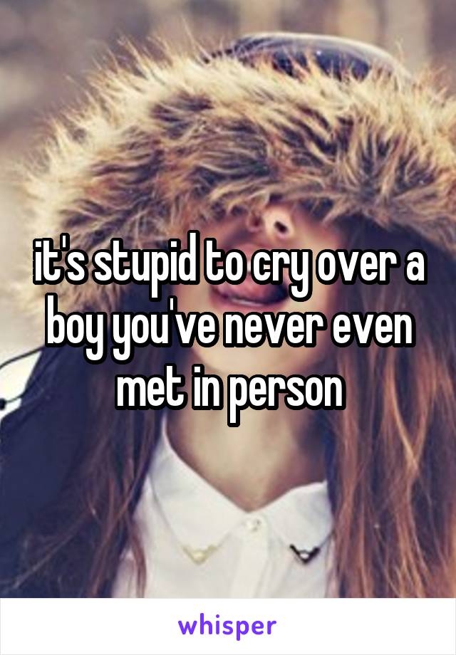 it's stupid to cry over a boy you've never even met in person