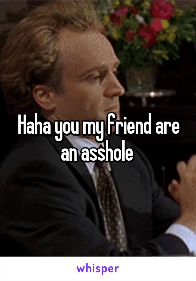 Haha you my friend are an asshole 