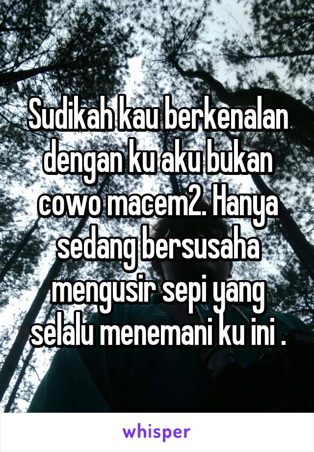 Sudikah kau berkenalan dengan ku aku bukan cowo macem2. Hanya sedang bersusaha mengusir sepi yang selalu menemani ku ini .