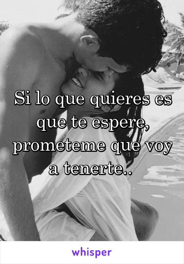 Si lo que quieres es que te espere, prometeme que voy a tenerte.. 