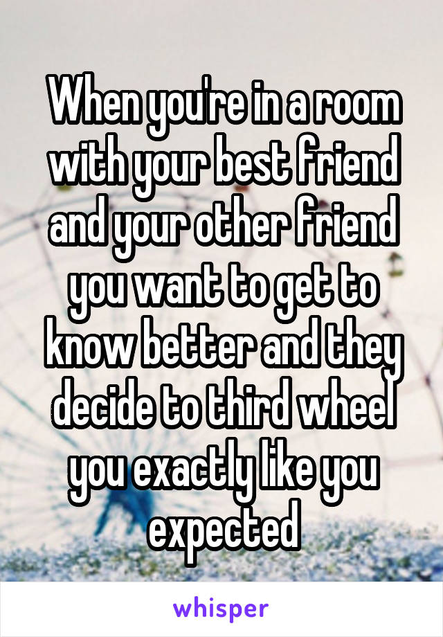 When you're in a room with your best friend and your other friend you want to get to know better and they decide to third wheel you exactly like you expected