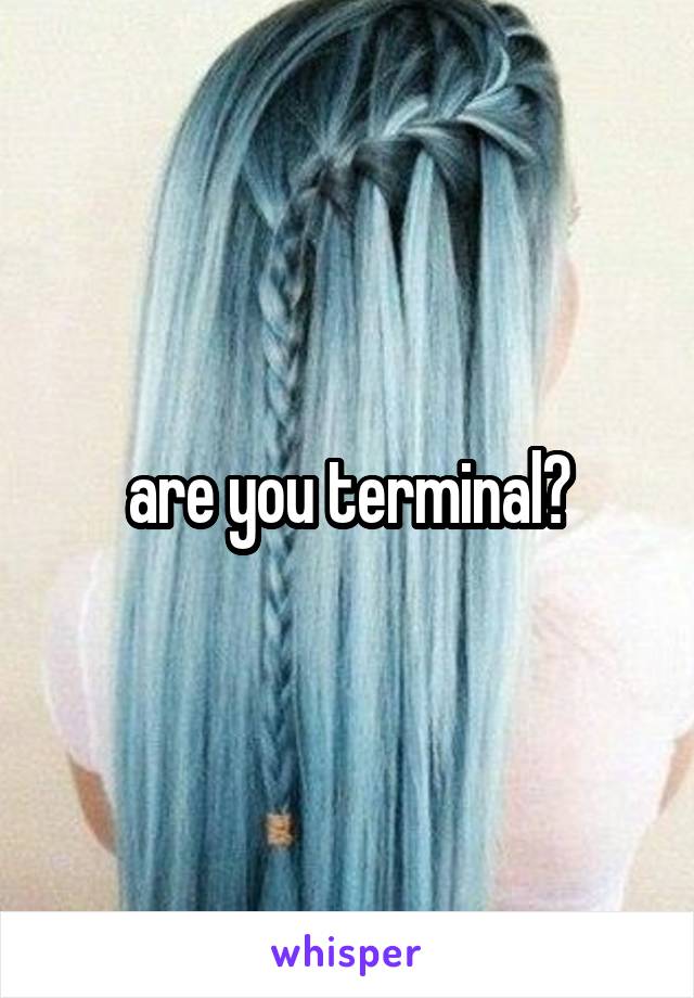 are you terminal?