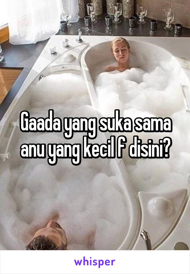 Gaada yang suka sama anu yang kecil f disini?