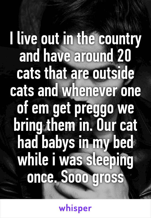 I live out in the country and have around 20 cats that are outside cats and whenever one of em get preggo we bring them in. Our cat had babys in my bed while i was sleeping once. Sooo gross