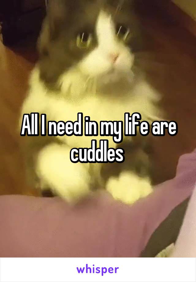 All I need in my life are cuddles 