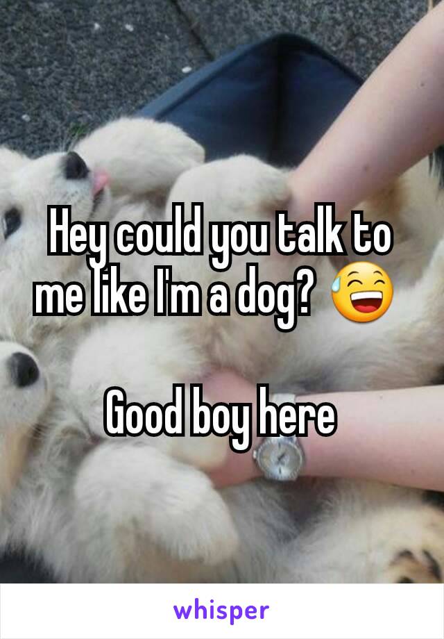 Hey could you talk to me like I'm a dog? 😅 

Good boy here