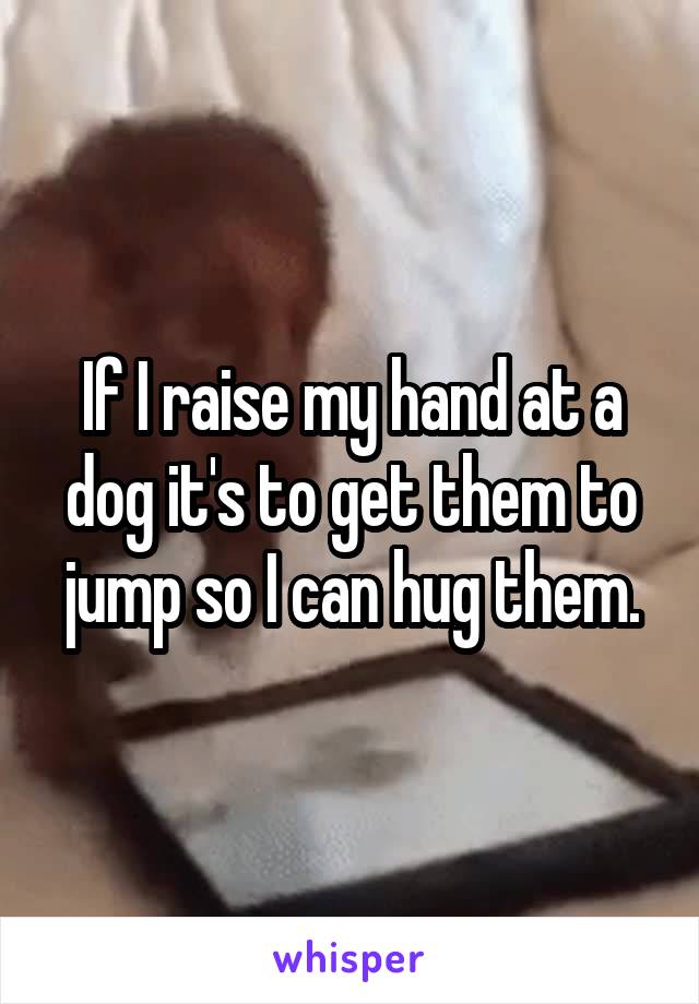 If I raise my hand at a dog it's to get them to jump so I can hug them.