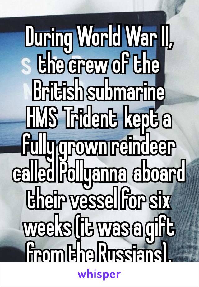 During World War II, the crew of the British submarine HMS Trident kept a fully grown reindeer called Pollyanna aboard their vessel for six weeks (it was a gift from the Russians).