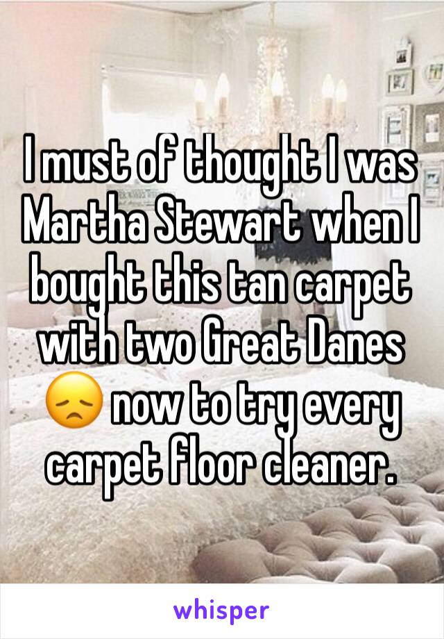 I must of thought I was Martha Stewart when I bought this tan carpet with two Great Danes 😞 now to try every carpet floor cleaner.