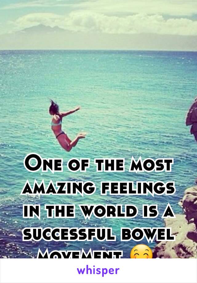 One of the most amazing feelings in the world is a successful bowel movement 😊.