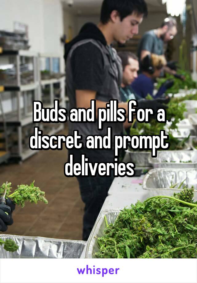 Buds and pills for a discret and prompt deliveries