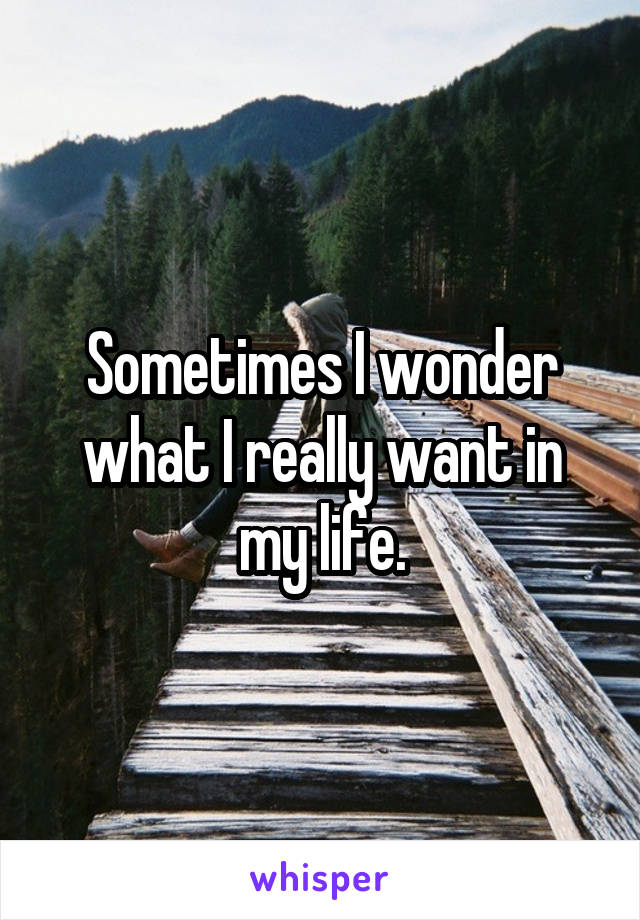 Sometimes I wonder what I really want in my life.