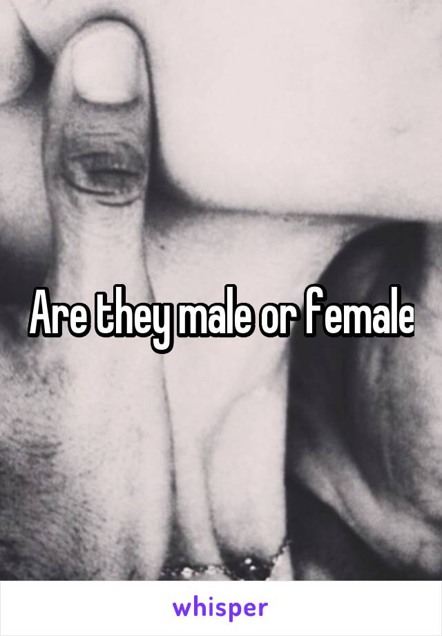 Are they male or female