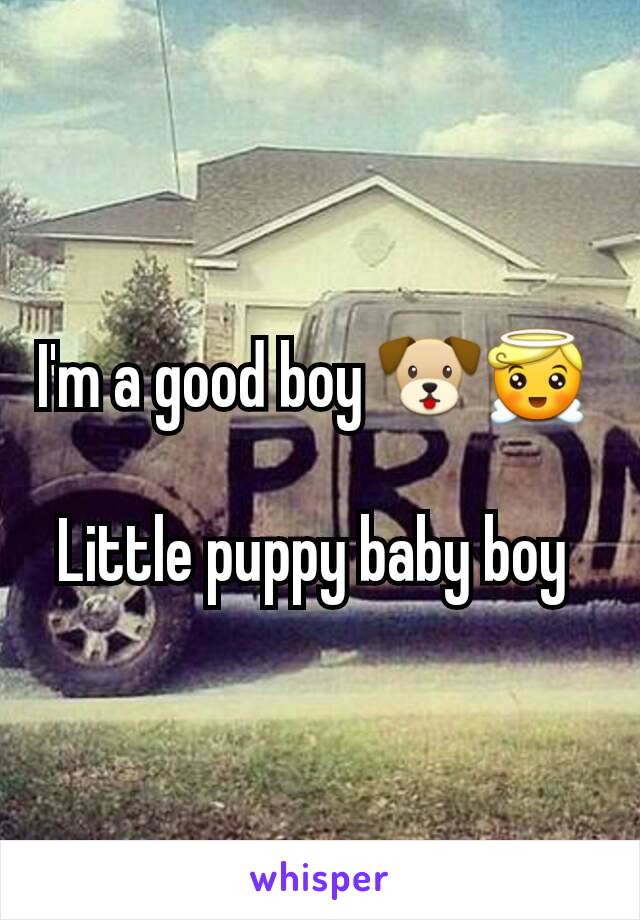 I'm a good boy 🐶😇 

Little puppy baby boy 
