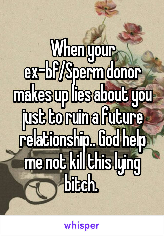 When your ex-bf/Sperm donor makes up lies about you just to ruin a future relationship.. God help me not kill this lying bitch. 
