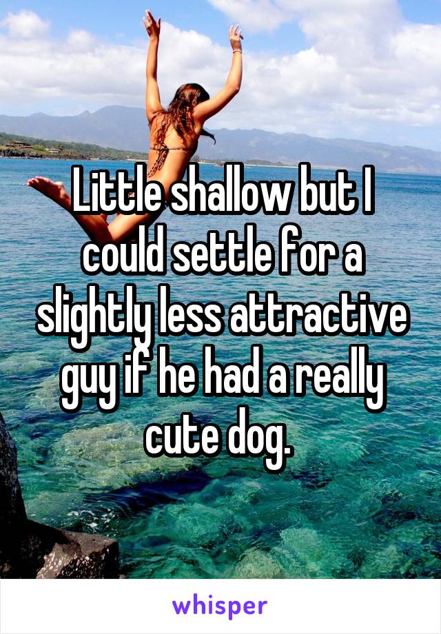 Little shallow but I could settle for a slightly less attractive guy if he had a really cute dog. 