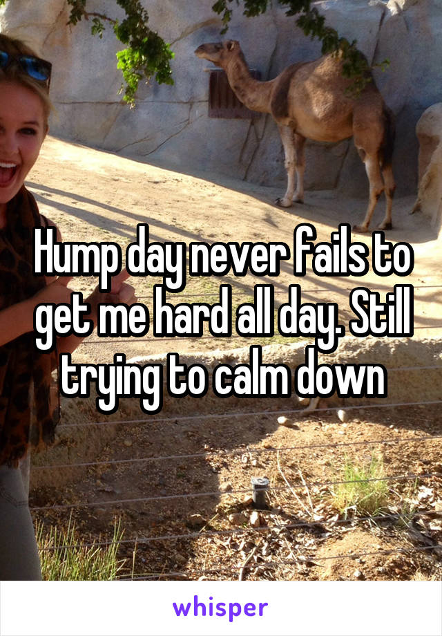 Hump day never fails to get me hard all day. Still trying to calm down