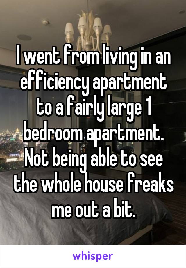 I went from living in an efficiency apartment to a fairly large 1 bedroom apartment.
Not being able to see the whole house freaks me out a bit.