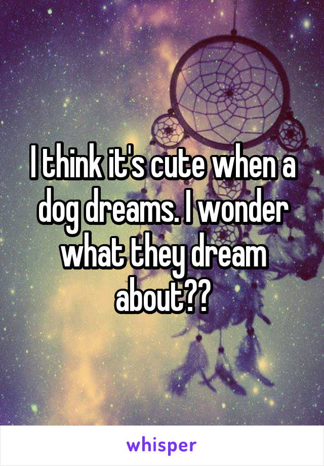 I think it's cute when a dog dreams. I wonder what they dream about??