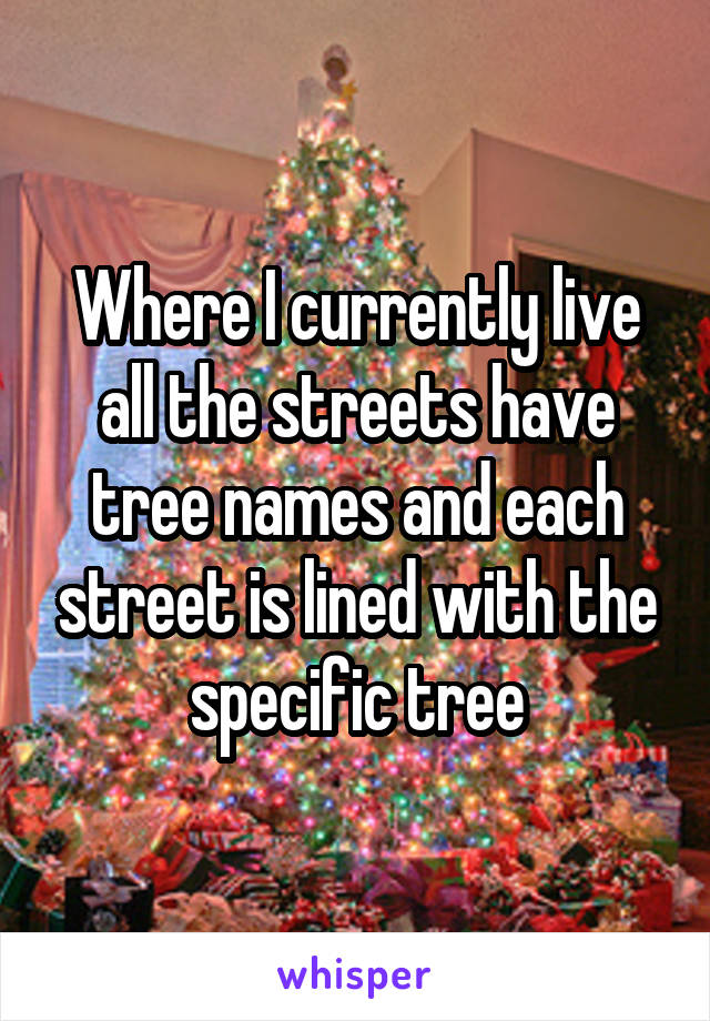 Where I currently live all the streets have tree names and each street is lined with the specific tree