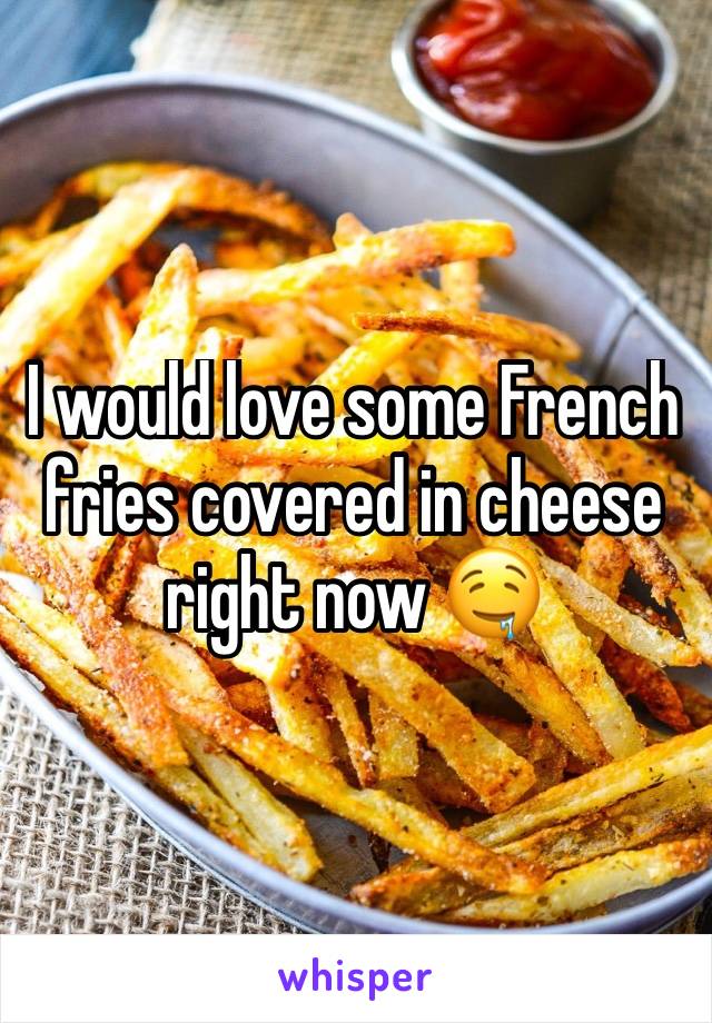 I would love some French fries covered in cheese right now 🤤