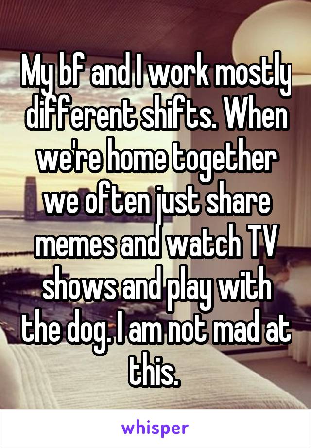 My bf and I work mostly different shifts. When we're home together we often just share memes and watch TV shows and play with the dog. I am not mad at this. 