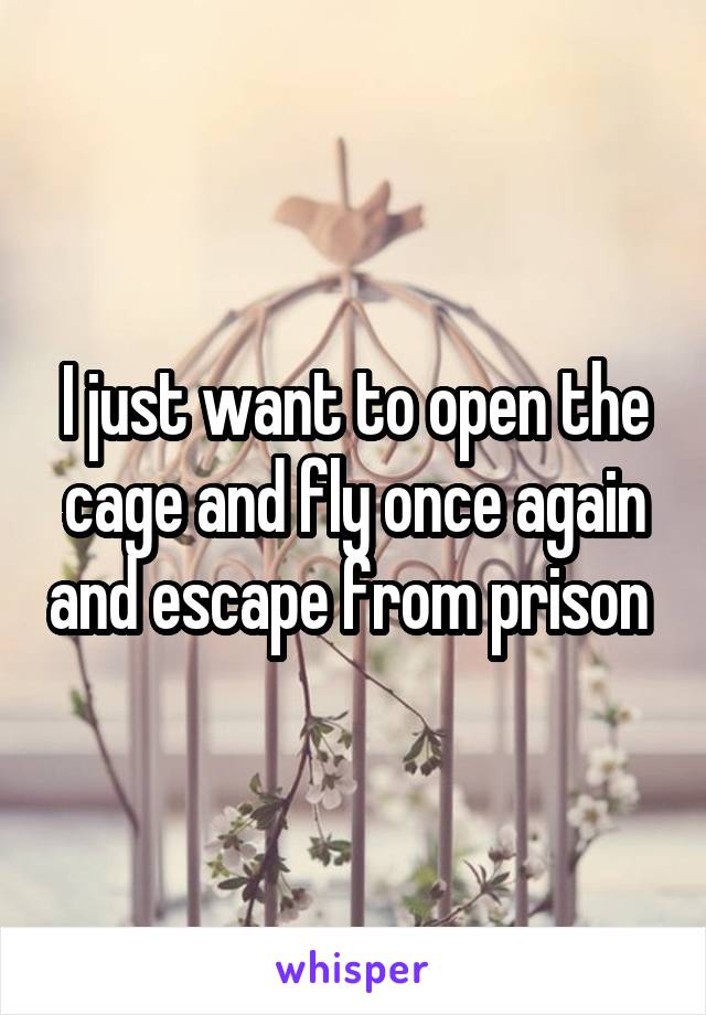 I just want to open the cage and fly once again and escape from prison 