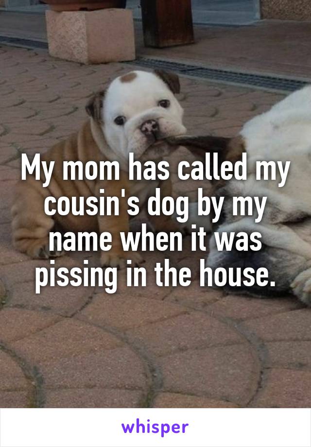 My mom has called my cousin's dog by my name when it was pissing in the house.