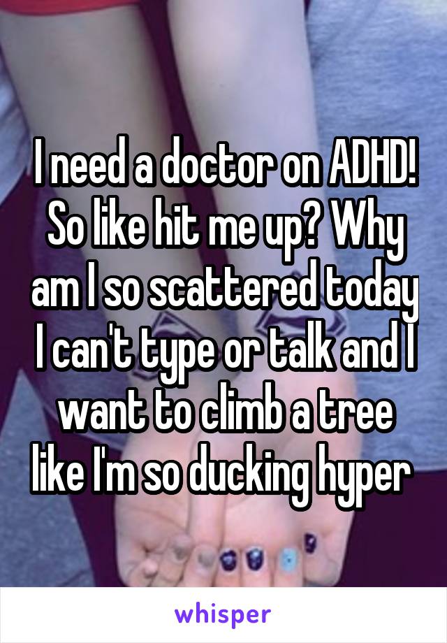 I need a doctor on ADHD! So like hit me up? Why am I so scattered today I can't type or talk and I want to climb a tree like I'm so ducking hyper 