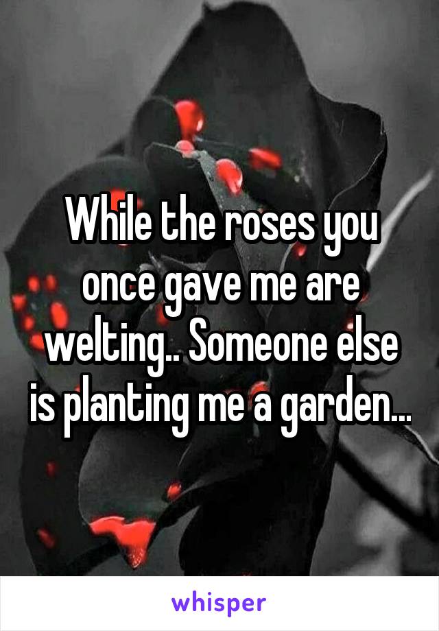 While the roses you once gave me are welting.. Someone else is planting me a garden...