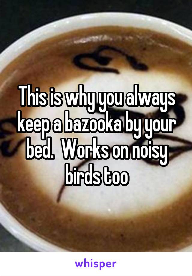 This is why you always keep a bazooka by your bed.  Works on noisy birds too