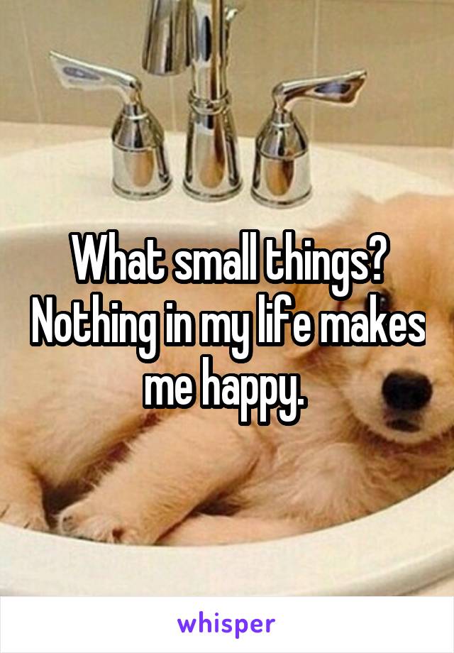 What small things? Nothing in my life makes me happy. 