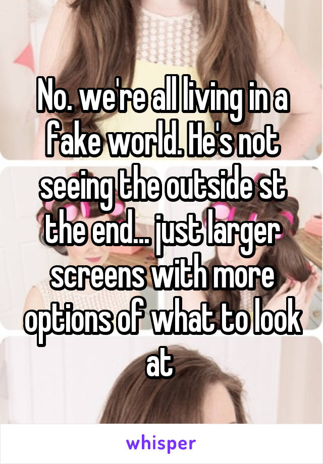 No. we're all living in a fake world. He's not seeing the outside st the end... just larger screens with more options of what to look at 
