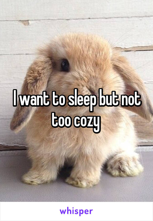 I want to sleep but not too cozy 