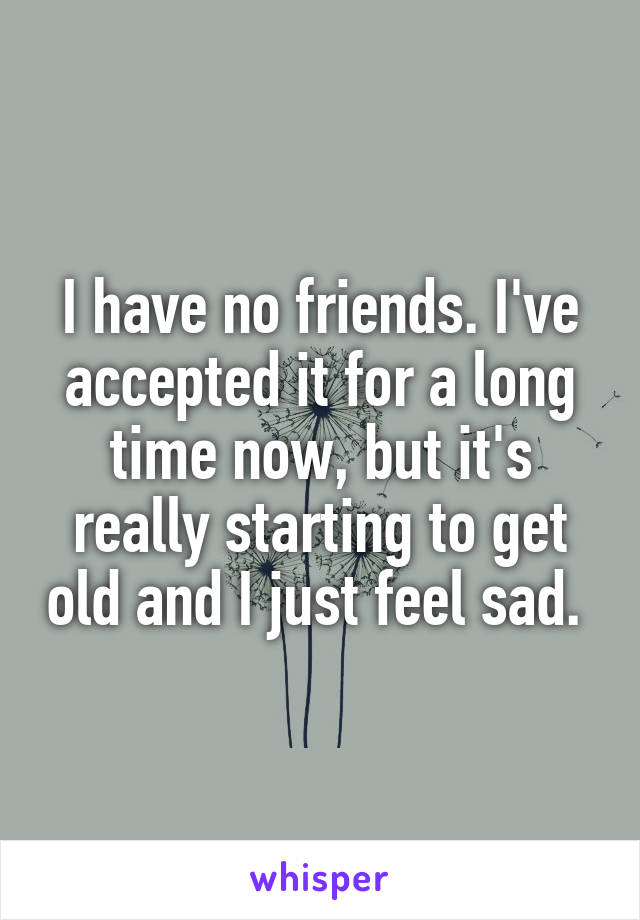 I have no friends. I've accepted it for a long time now, but it's really starting to get old and I just feel sad. 