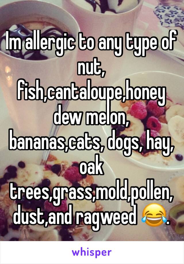Im allergic to any type of nut, fish,cantaloupe,honey dew melon, bananas,cats, dogs, hay, oak trees,grass,mold,pollen, dust,and ragweed 😂.