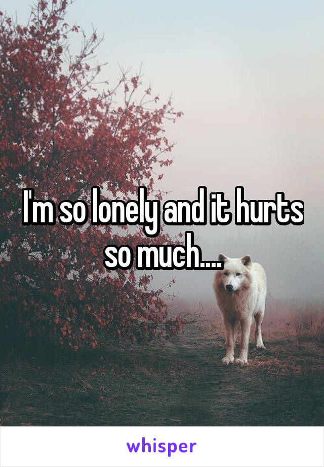 I'm so lonely and it hurts so much....