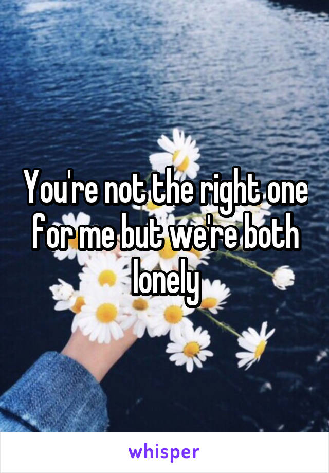 You're not the right one for me but we're both lonely