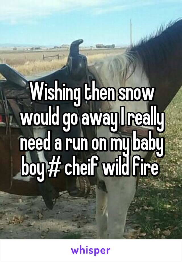 Wishing then snow would go away I really need a run on my baby boy # cheif wild fire 