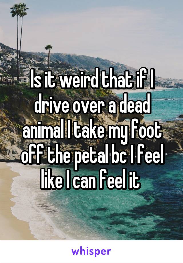 Is it weird that if I drive over a dead animal I take my foot off the petal bc I feel like I can feel it 