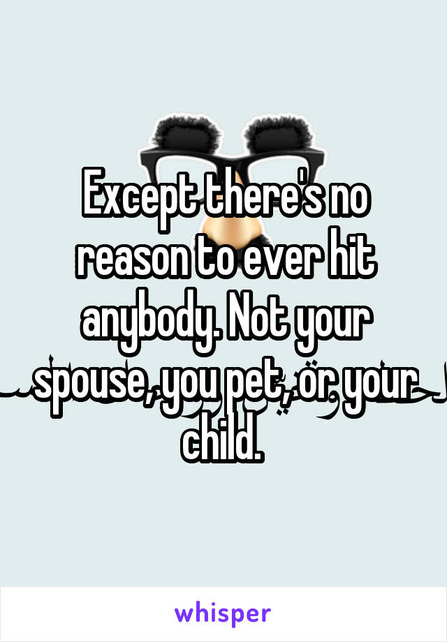 Except there's no reason to ever hit anybody. Not your spouse, you pet, or your child. 